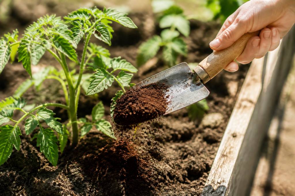 A quoi sert le marc de café dans le jardin : usages et précautions