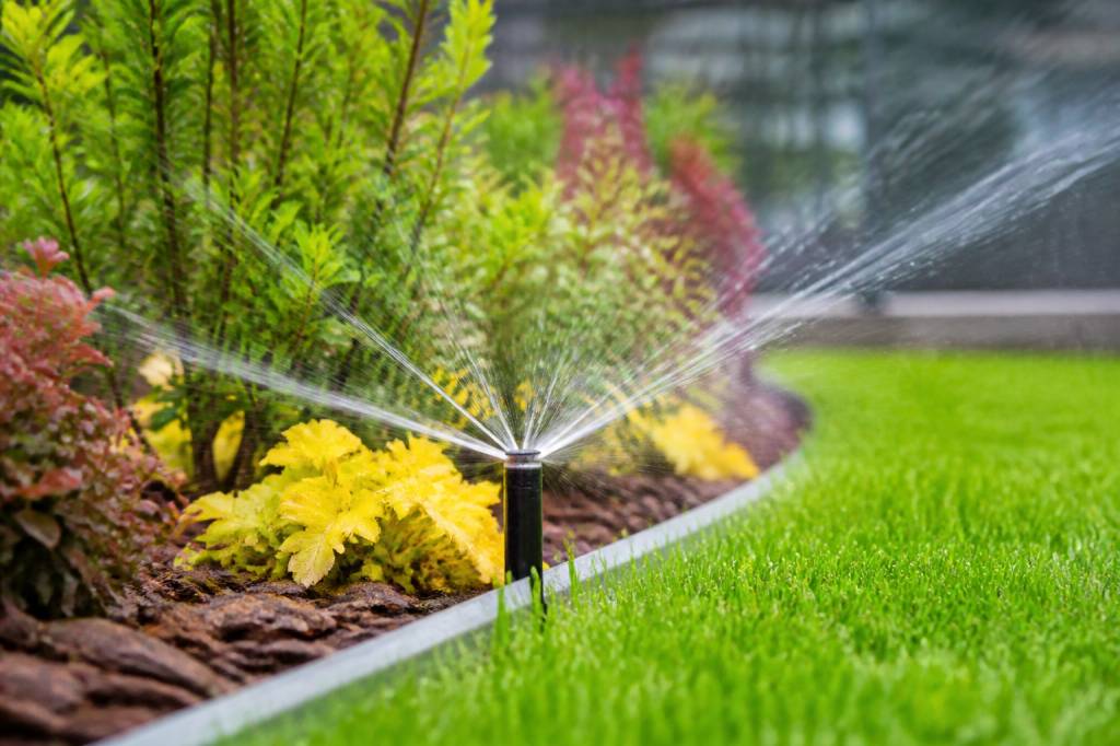 Arrosage programmé jardin : comment choisir et installer le bon système